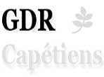 Réalisation d'un site Internet pour le GDR Capétiens en vue de la publication des résultats de recherche du groupe. 
[lire la suite]