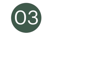 Digital-Asset-Management